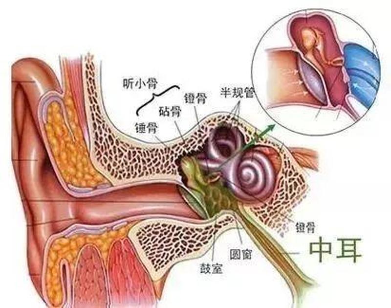 周围一圈疼怎么回事(周围隐痛：原因与应对策略)-第1张图片-健康养生经验分享