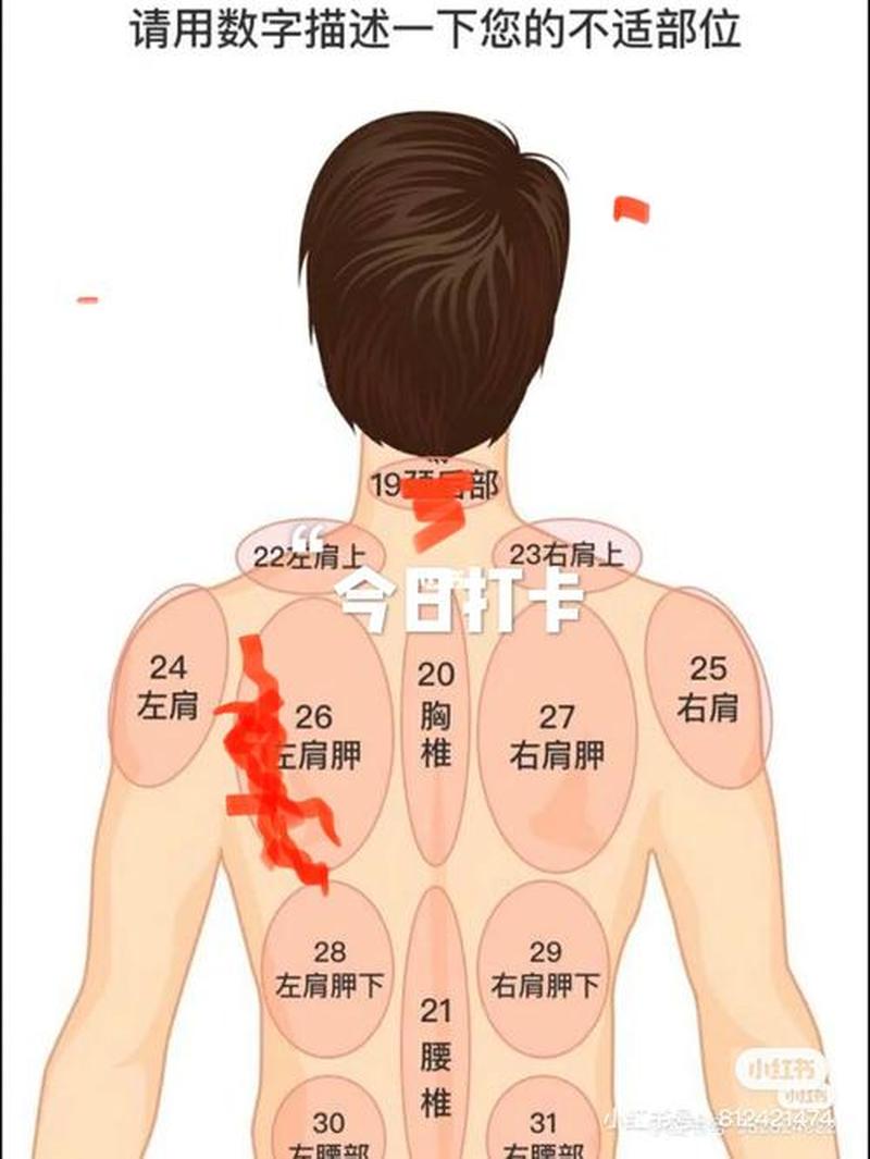 左肩甲骨疼_左肩甲骨疼可能是1种重病征兆-第1张图片-健康养生经验分享