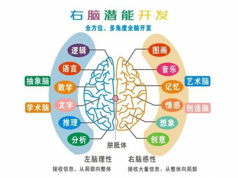 右脑有时候发麻(右脑麻痹之谜：短暂发麻的深层秘密)-第1张图片-健康养生经验分享