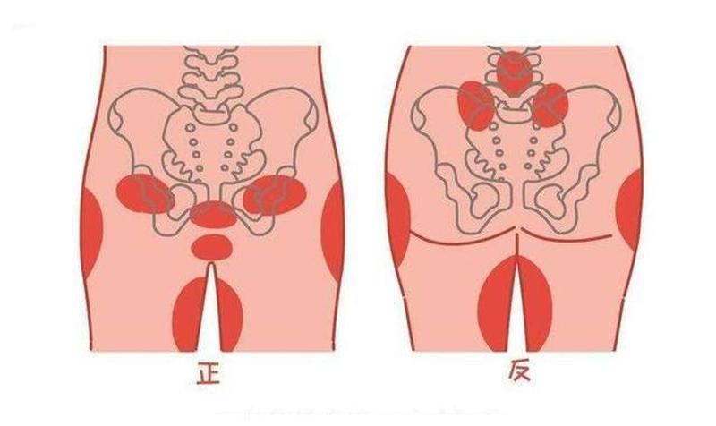 孕早期盆骨痛白天不痛晚上疼—孕早期盆骨疼痛：原因、缓解和应对策略-第1张图片-健康养生经验分享