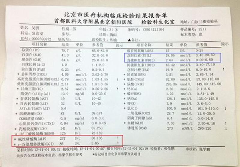 孕妇胆红素高_孕妇胆红素高是什么原因-第1张图片-健康养生经验分享