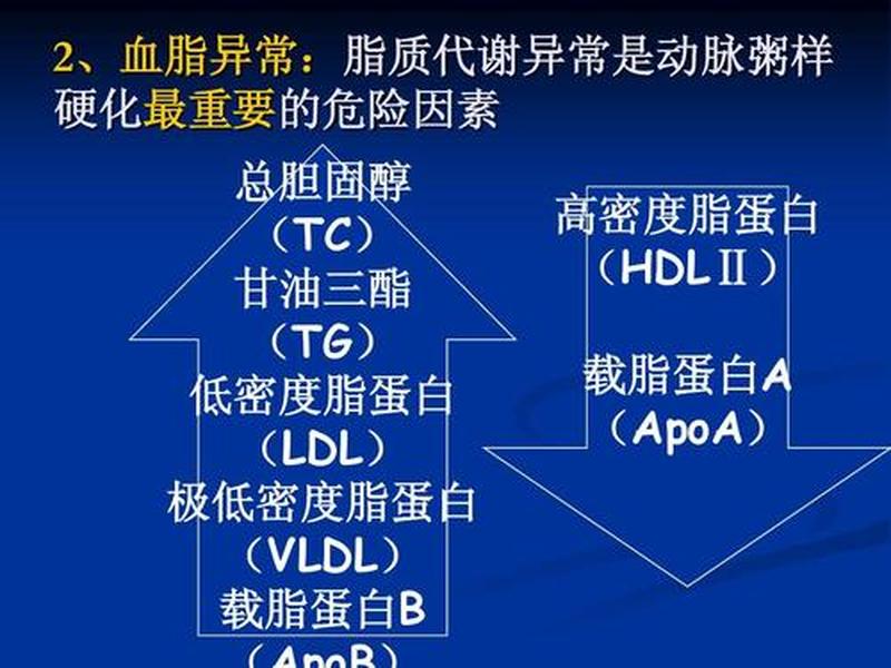 载脂蛋白有点高—载脂蛋白超标，心血管健康隐忧-第1张图片-健康养生经验分享