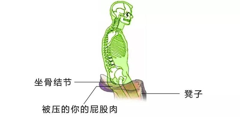 孕晚期坐骨痛(孕晚期坐骨痛：分娩前的不适和应对之道)-第1张图片-健康养生经验分享