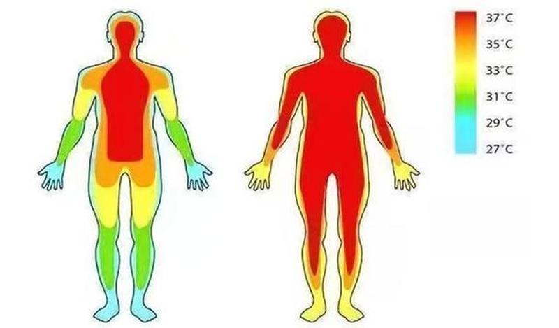 孕妇体温多少正常—孕妇体温多少正常范围孕中期-第1张图片-健康养生经验分享