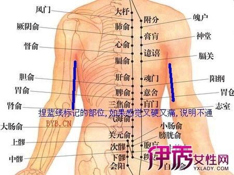 左上腹部疼—揭秘左上腹部疼痛之谜，探寻背后的根源-第1张图片-健康养生经验分享