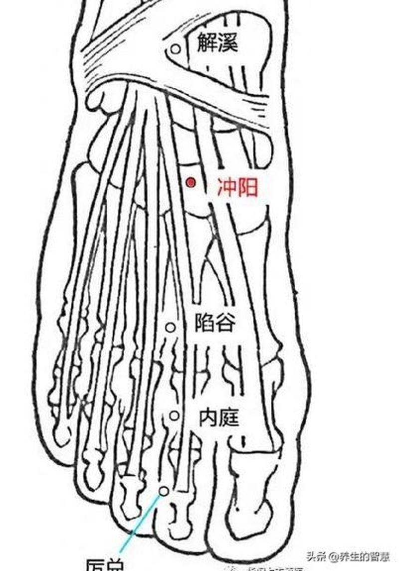 阳明经头痛—阳明经头痛针灸治疗部位-第1张图片-健康养生经验分享