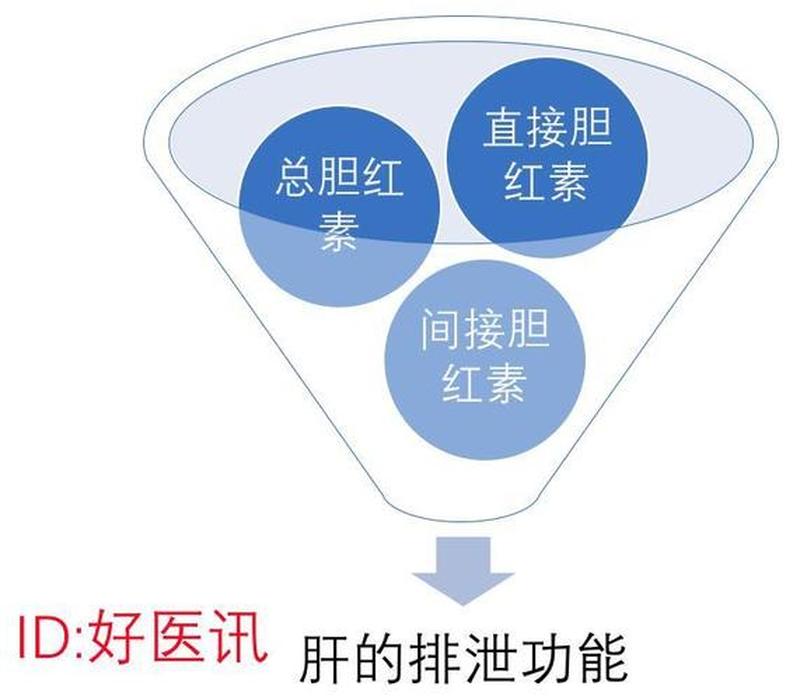 直接胆红素升高(直接胆红素升高的病因探究与临床意义)-第1张图片-健康养生经验分享