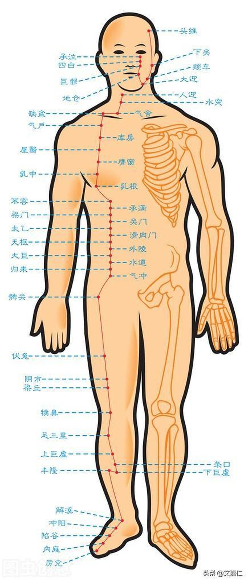 整体疼是什么原因—整体疼痛的全面解析及应对策略-第1张图片-健康养生经验分享