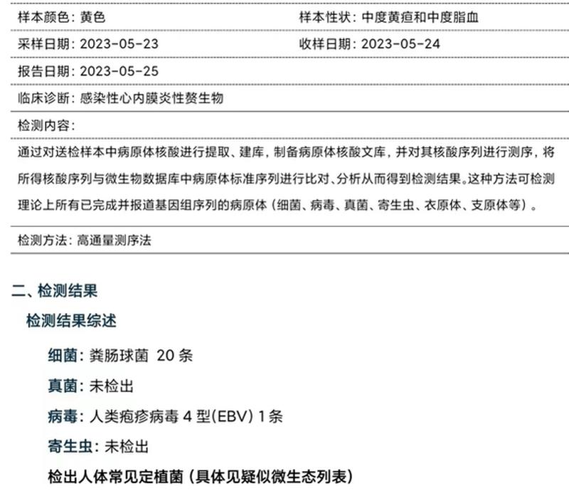 怎么查贫血不贫血血常规—透视贫血与否：临床与检测指南-第1张图片-健康养生经验分享