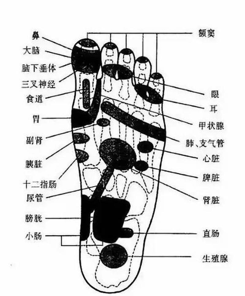 右肾不舒服_右肾不舒服右腿麻-第1张图片-健康养生经验分享