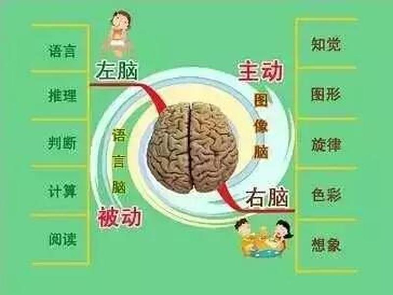 智商是天生的吗—智商是天生的吗0-第1张图片-健康养生经验分享