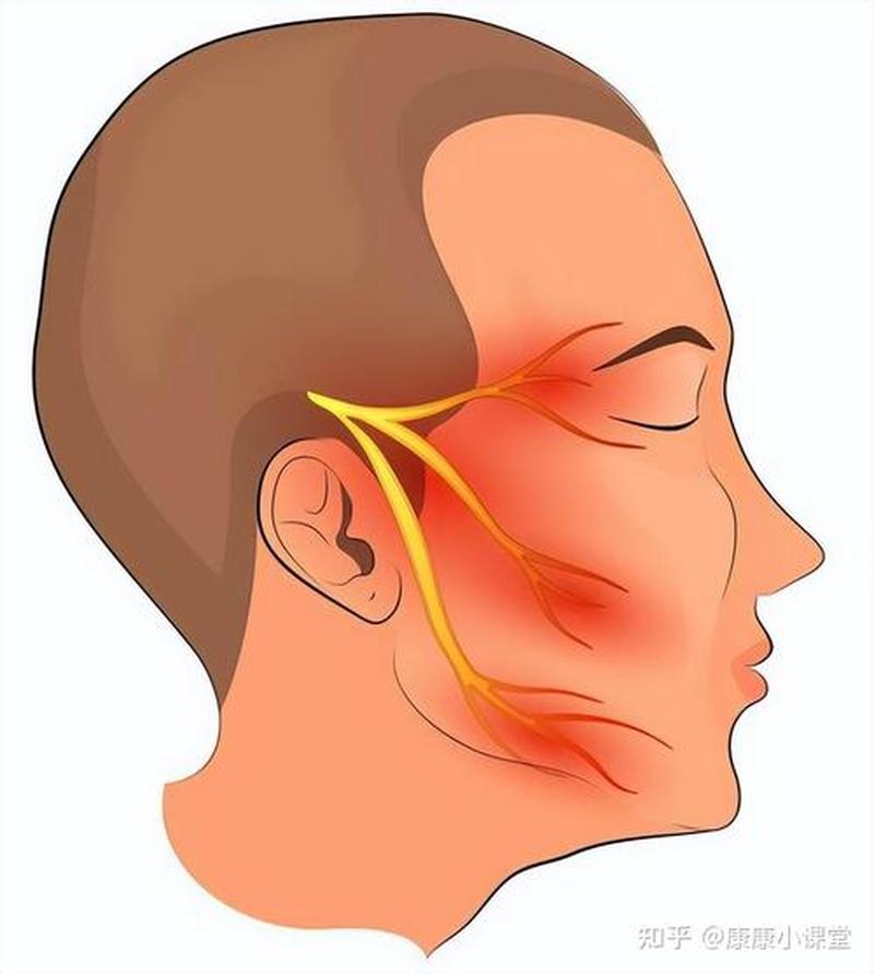 左嘴角麻木(左嘴角麻木是哪个神经压迫)-第1张图片-健康养生经验分享