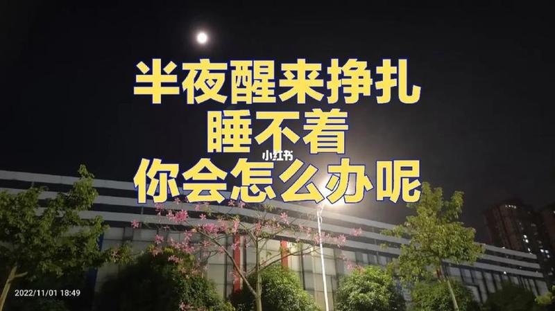 总是半夜三点多醒来睡不着五点多困了再入睡(凌晨三点的清醒与自我对话)-第1张图片-健康养生经验分享