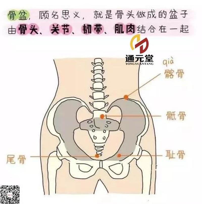 盆骨右侧疼痛_盆腔右侧疼痛：探究成因与治疗方案-第1张图片-健康养生经验分享