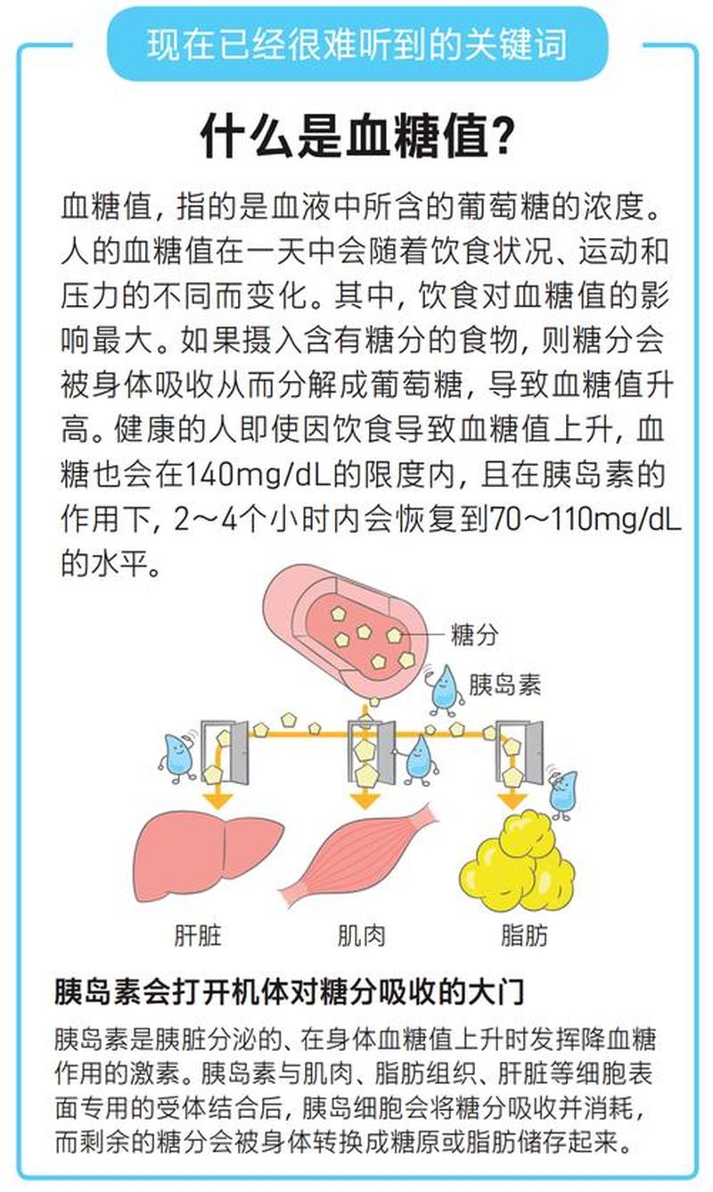 胰岛素是干什么的—胰岛素：生命之泉，稳定血糖-第1张图片-健康养生经验分享