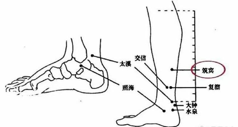 脚趾有横纹竖纹(横纹脚趾：足部健康警钟，及时检查防患于未然)-第1张图片-健康养生经验分享