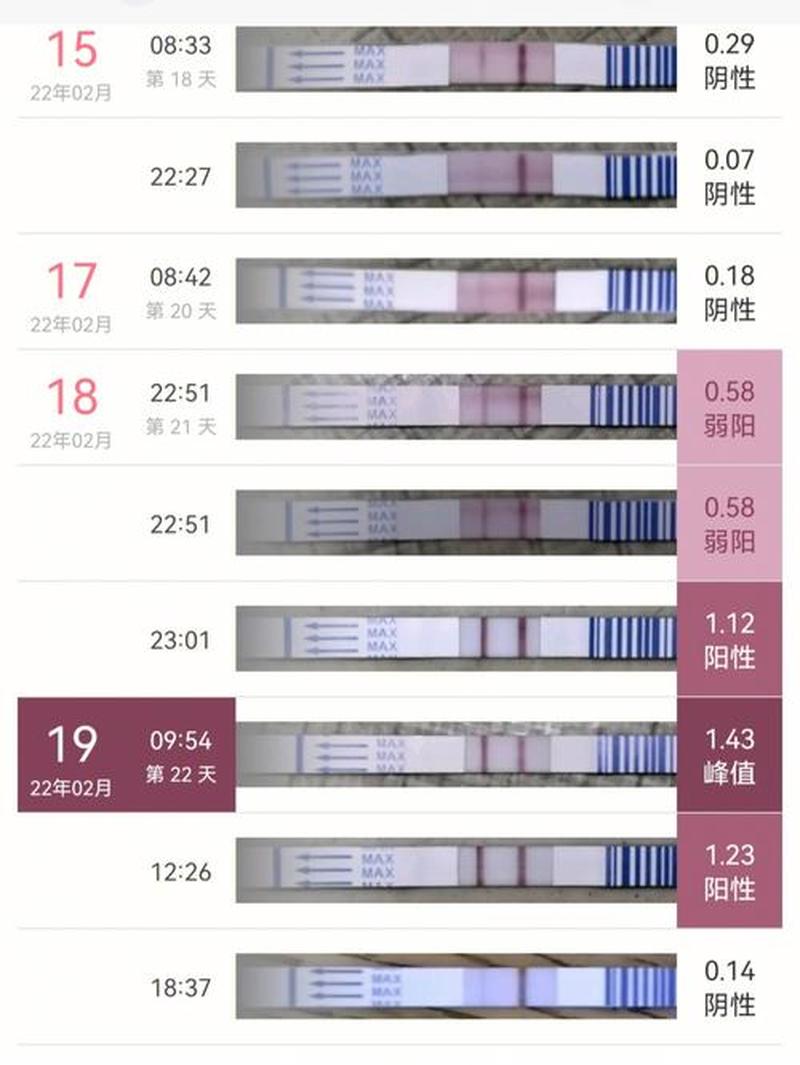 月经41天没来测了一条杠_月经41日未至，健康状况堪忧-第1张图片-健康养生经验分享