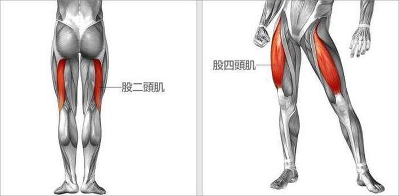 左大腿肌肉疼—大腿左侧肌肉疼痛：常见原因及有效治疗策略-第1张图片-健康养生经验分享