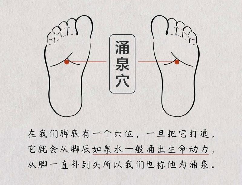 涌泉的位置_涌泉的位置图片-第1张图片-健康养生经验分享