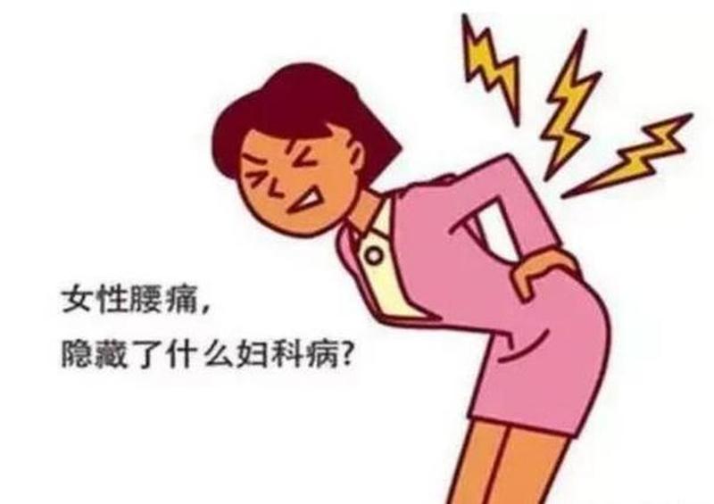 最近老是腰痛女性(女性最近总是腰疼是什么原因引起的)-第1张图片-健康养生经验分享