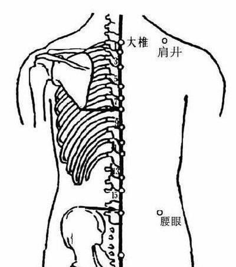 左腰窝旁边痛女性(左腰窝旁隐痛，揭秘健康隐患)-第1张图片-健康养生经验分享