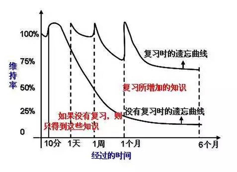 遗忘综合征(器质性遗忘综合征)-第1张图片-健康养生经验分享