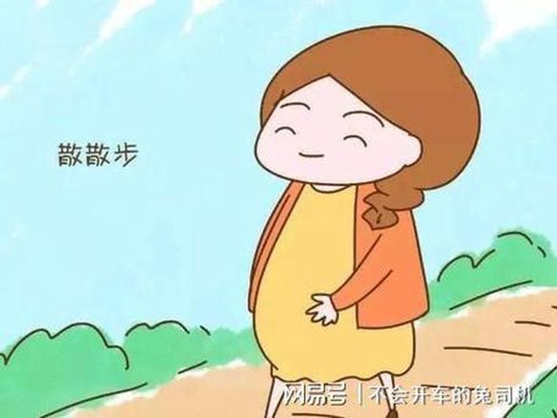 孕妇放屁多了就要拉屎—孕期放飞自我”：孕妇放屁增多原因解析-第1张图片-健康养生经验分享