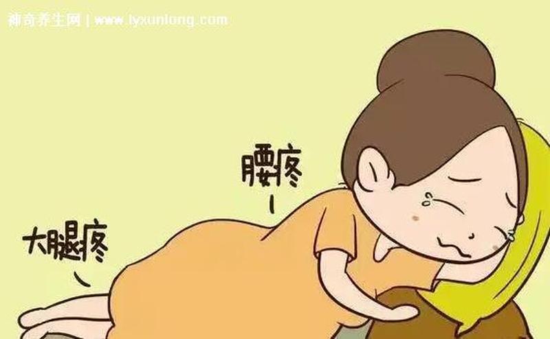 孕妇左下角疼—孕妇左下角轻微疼痛-第1张图片-健康养生经验分享