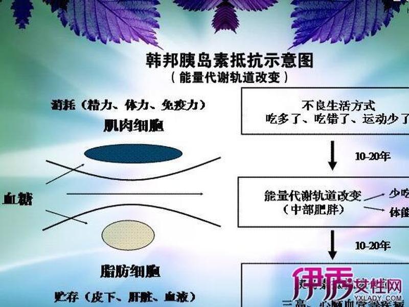 怎样恢复胰岛功能桃寿凡(逆转胰岛衰竭，重现血糖平衡)-第1张图片-健康养生经验分享