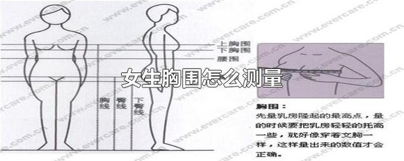 怎样让胸部变小女生—揭秘缩小胸围的无创方案-第1张图片-健康养生经验分享