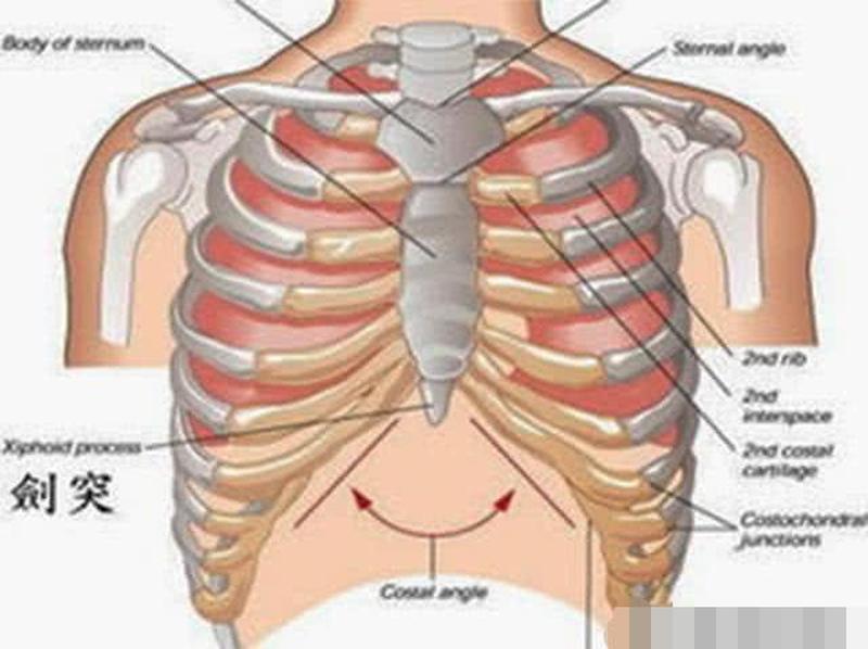 胸骨中间隐隐疼是怎么回事—胸骨隐痛：探寻背后的健康隐患-第1张图片-健康养生经验分享