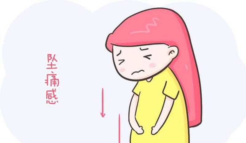 孕晚期肚子往下坠(孕晚期肚子往下坠的疼)-第1张图片-健康养生经验分享