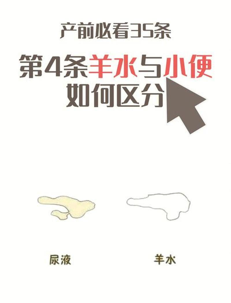 孕九周晚上小便次数多—夜间频尿：洞悉膀胱健康之谜-第1张图片-健康养生经验分享