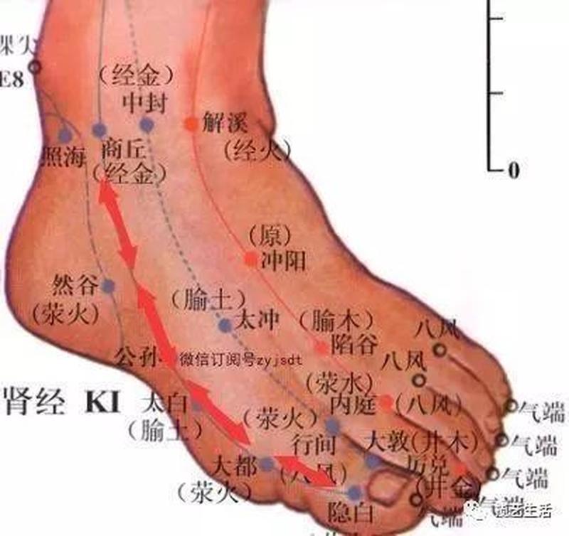 左脚面麻木吃什么药_脚面麻木困扰健康 生活质量受损-第1张图片-健康养生经验分享