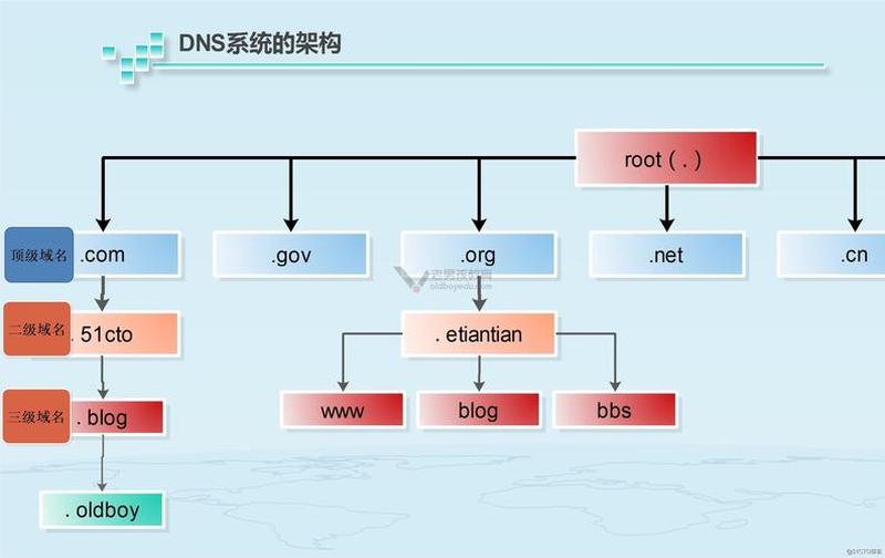 找不到dns—DNS服务器寻觅之旅：扑朔迷离的互联网迷宫-第1张图片-健康养生经验分享