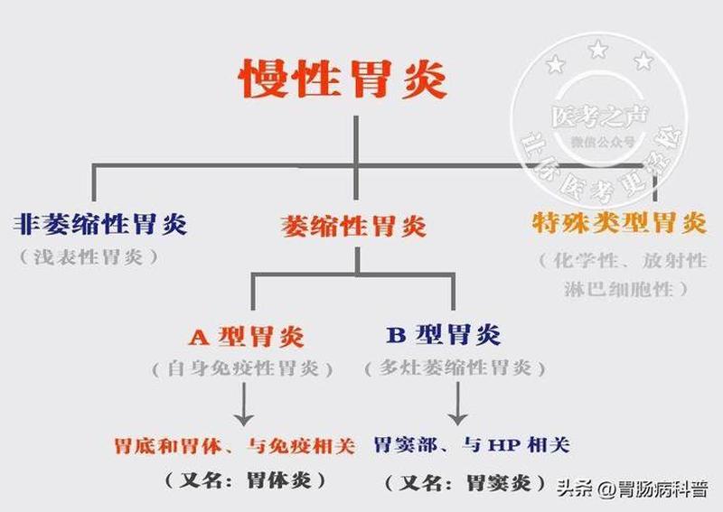 慢性胃炎的定义—慢性胃炎诊断标准详解及评估要点-第1张图片-健康养生经验分享