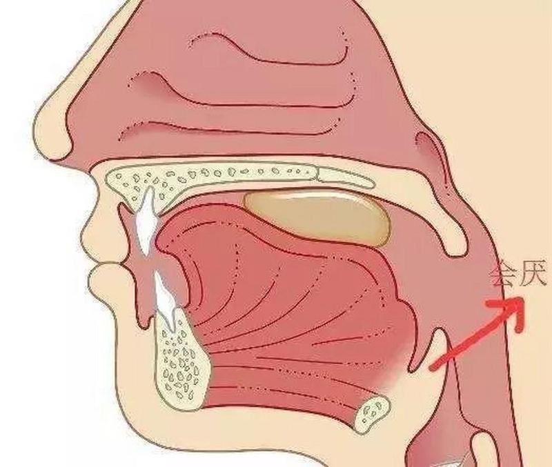 左半边肩膀疼_肩部左侧疼痛：从原因到治疗方案探究-第1张图片-健康养生经验分享