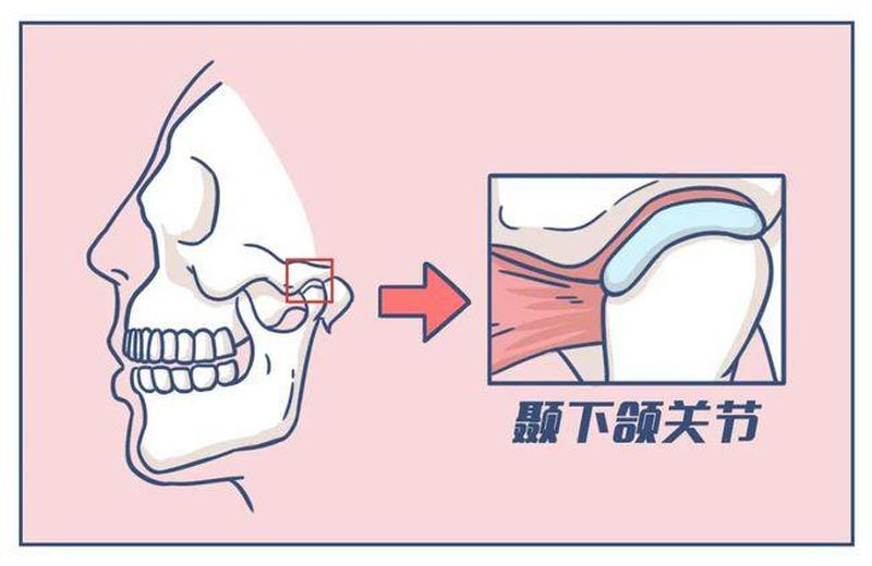 咬合肌疼痛—一侧咬合肌疼痛-第1张图片-健康养生经验分享