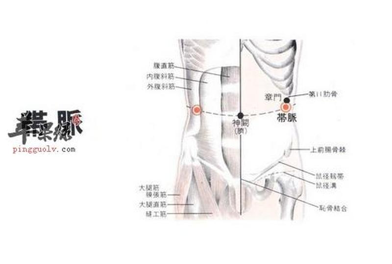 怎么知道带脉通了(识知带脉通畅的明晰之道)-第1张图片-健康养生经验分享