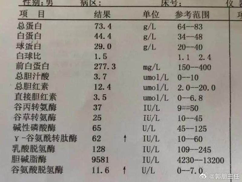 转氨酶胆红素高是怎么回事有什么危害_肝功能异常：转氨酶胆红素升高提示肝脏病变-第1张图片-健康养生经验分享