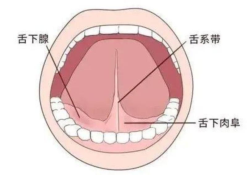 左舌头根疼一侧肿疼怎么回事吃什么药_根源之痛：左舌根难消之谜-第1张图片-健康养生经验分享